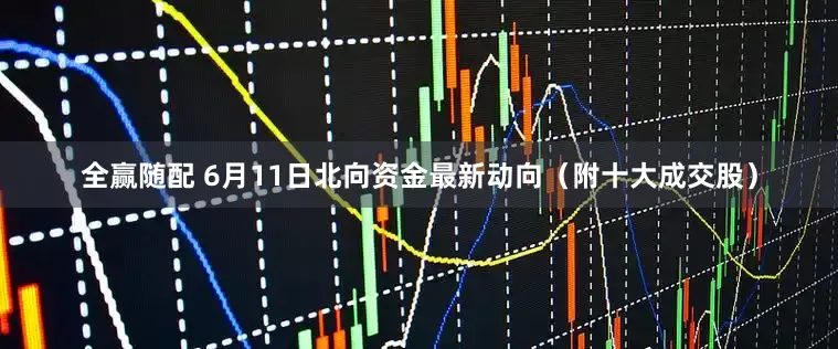 全赢随配 6月11日北向资金最新动向（附十大成交股）